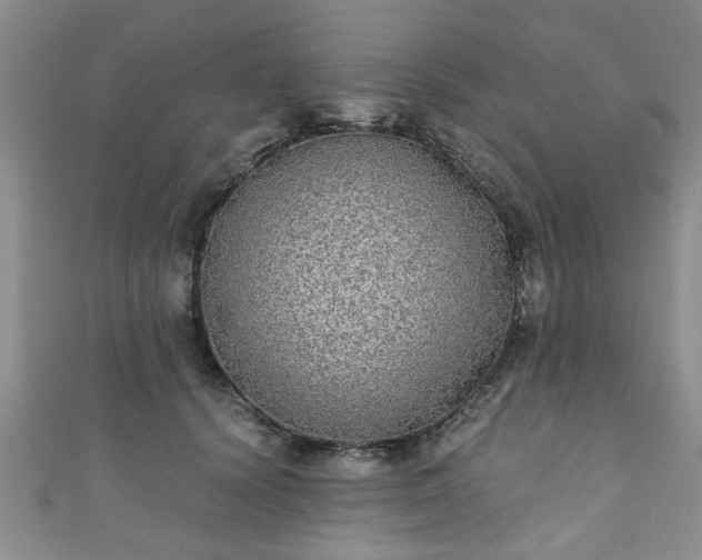 X0000110940656200906261302