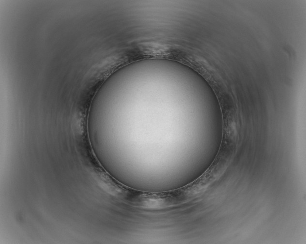 X0000110940658200906261302