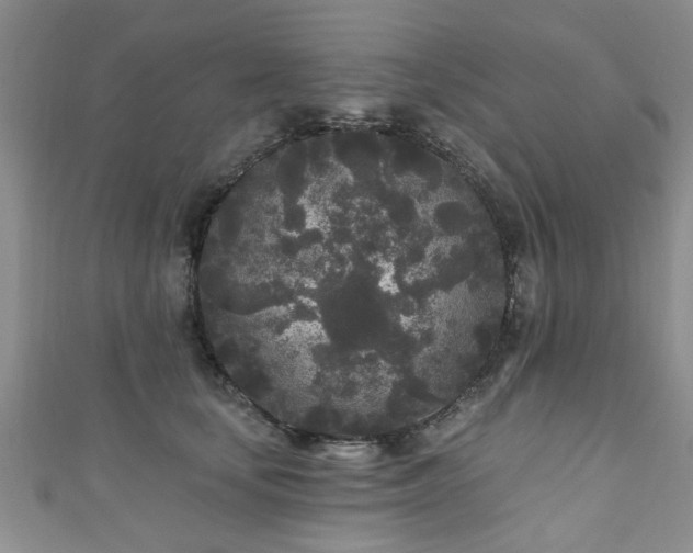 X0000110940659200906261302