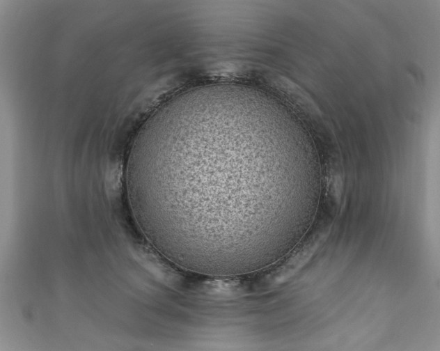 X0000110940660200906261302