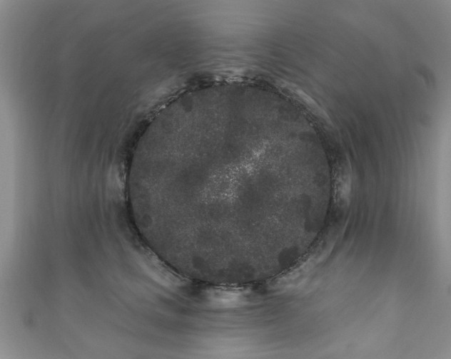 X0000110940661200906261302