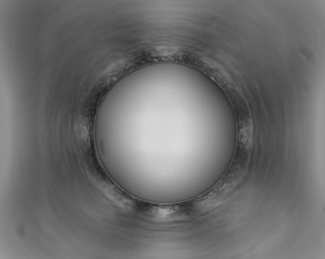 X0000110940662200906261302