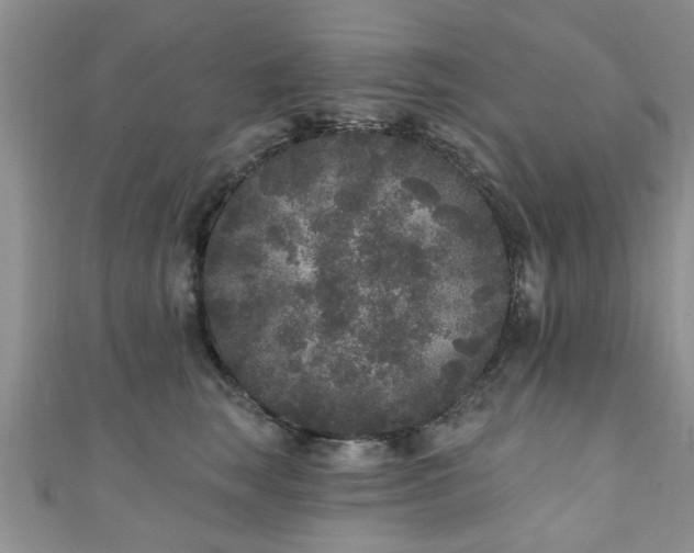 X0000110940663200906261302