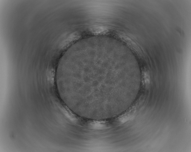 X0000110940664200906261302