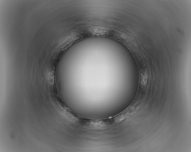 X0000110940666200906261302