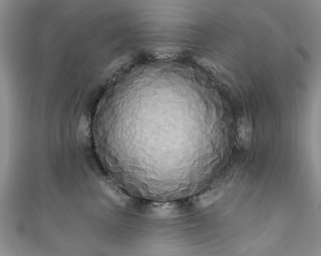 X0000110940667200906261302