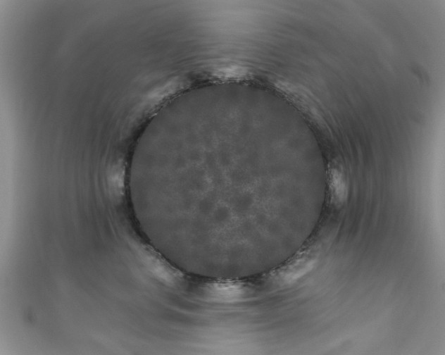 X0000110940668200906261302