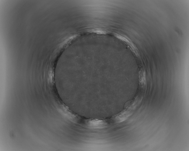 X0000110940669200906261302