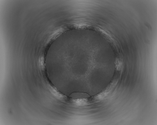 X0000110940670200906261302