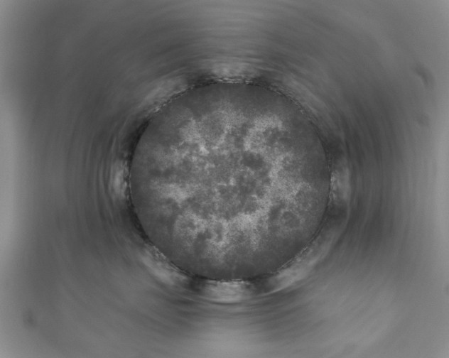 X0000110940671200906261302