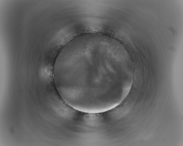 X0000110940672200906261302