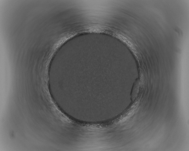 X0000110940673200906261301