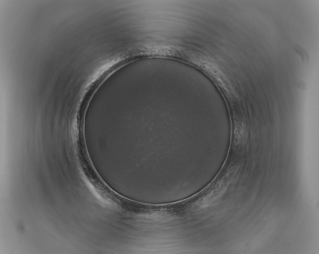 X0000110940674200906261301