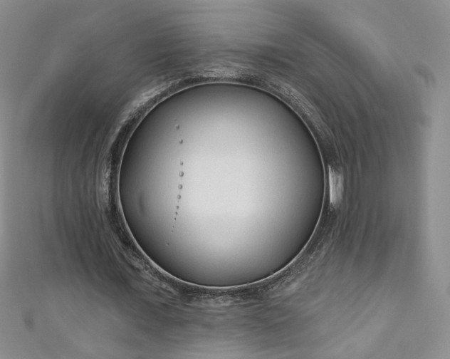 X0000110940675200906261301