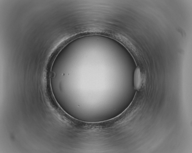 X0000110940676200906261301