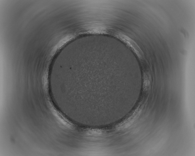 X0000110940677200906261301