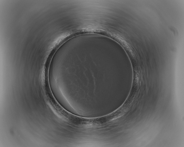 X0000110940678200906261301