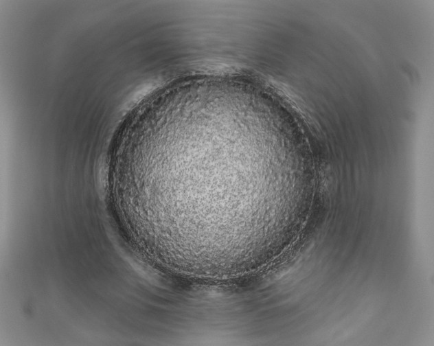 X0000110940679200906261301