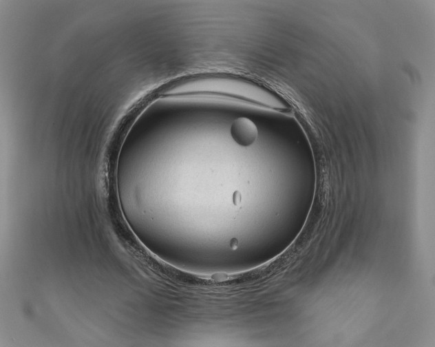 X0000110940680200906261301