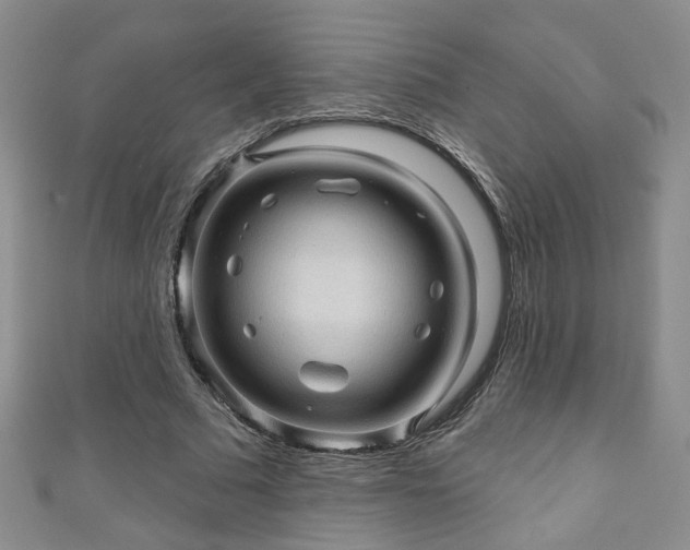 X0000110940681200906261301