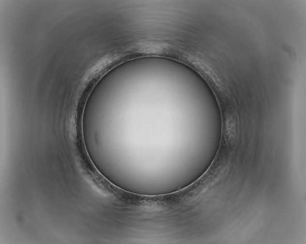 X0000110940682200906261301