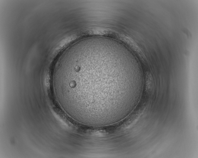 X0000110940683200906261301