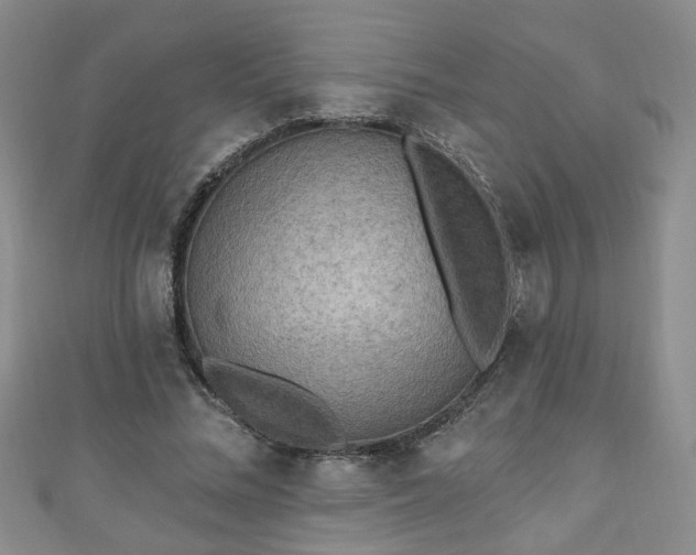 X0000110940684200906261301