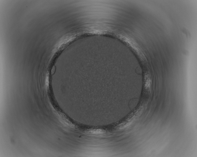 X0000110940685200906261301