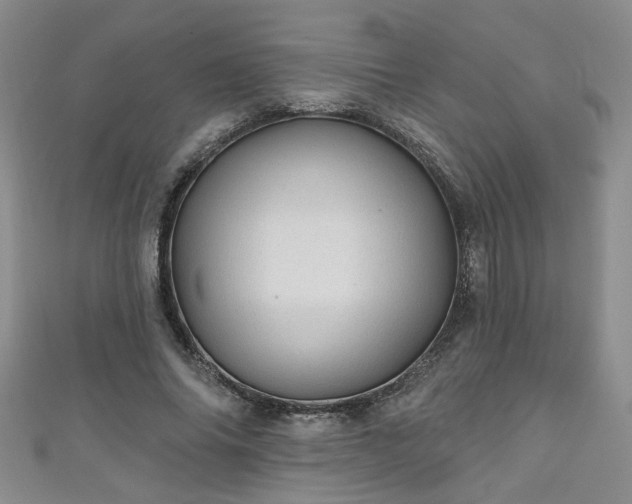 X0000110940686200906261301