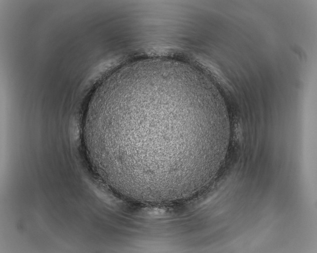 X0000110940687200906261301