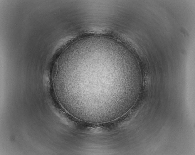 X0000110940688200906261301