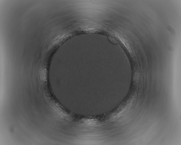 X0000110940689200906261301