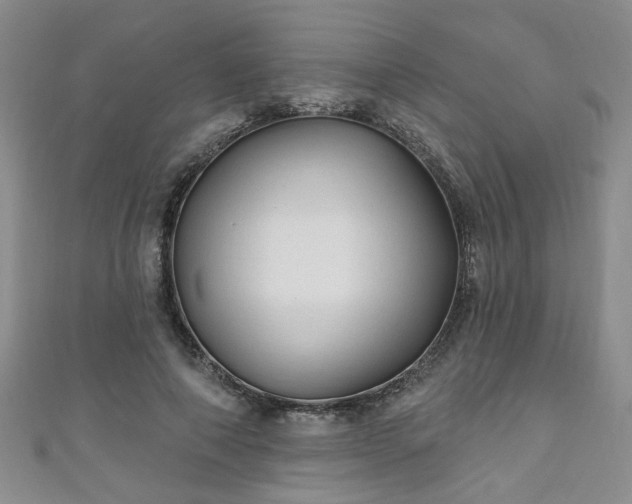 X0000110940690200906261301