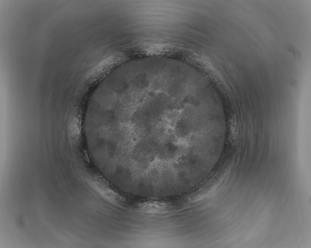 X0000110940691200906261301