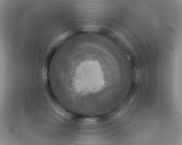 X0000110940692200906261301