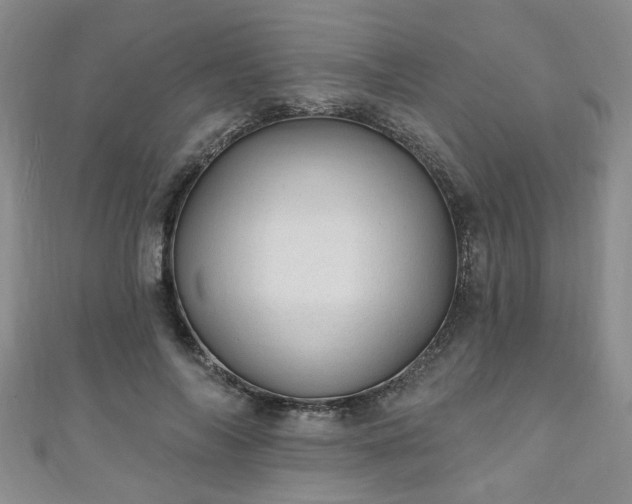 X0000110940694200906261301