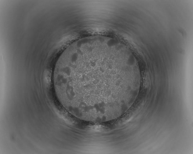 X0000110940695200906261301