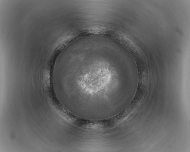 X0000110940696200906261301