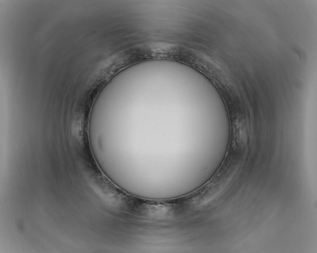 X0000110940698200906261301