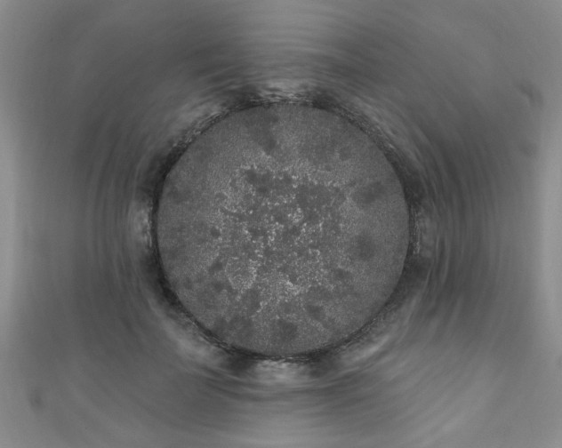 X0000110940699200906261301