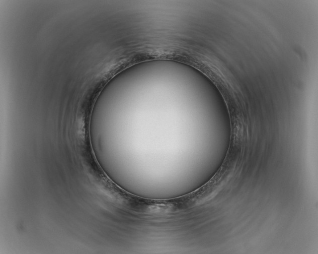 X0000110940700200906261301