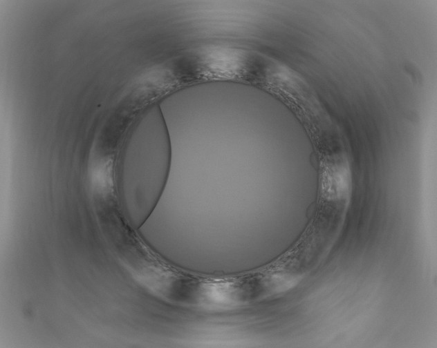 X0000110940701200906261301