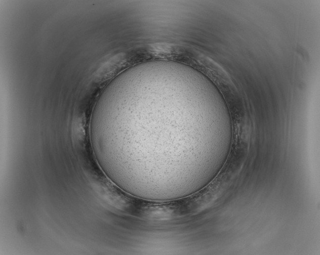 X0000110940702200906261301