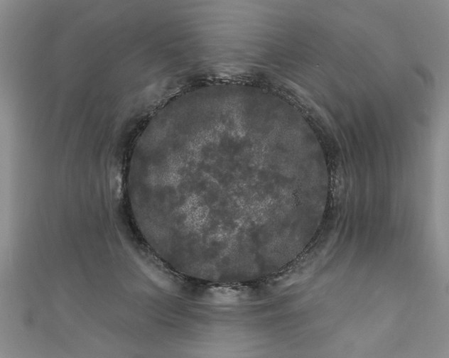 X0000110940703200906261301