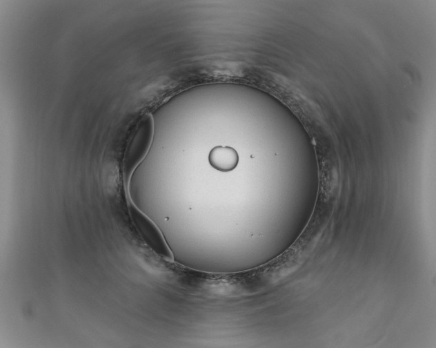 X0000110940704200906261301