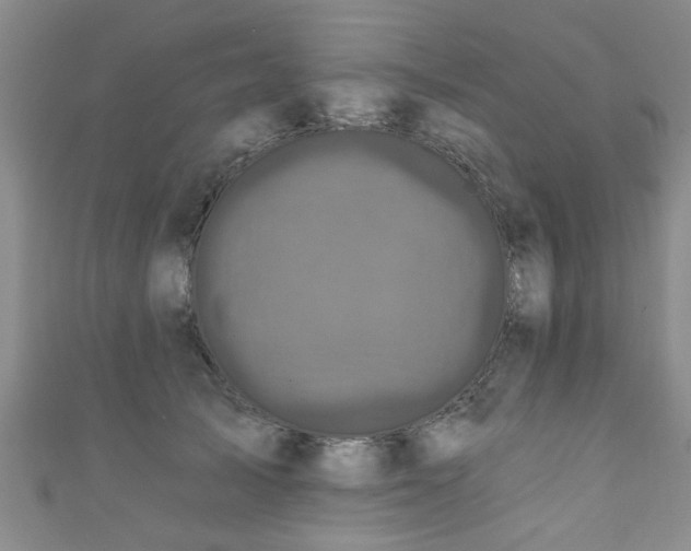 X0000110940705200906261301