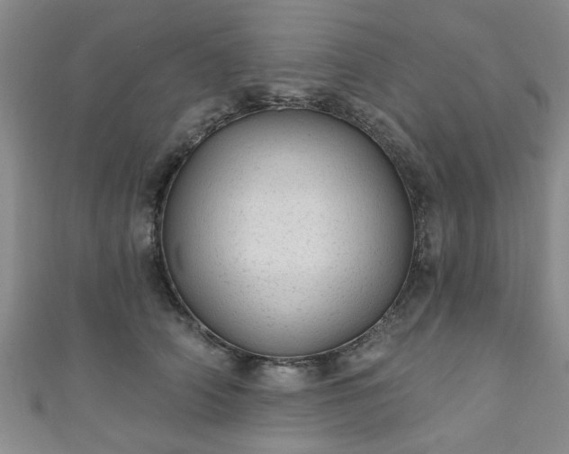 X0000110940706200906261301