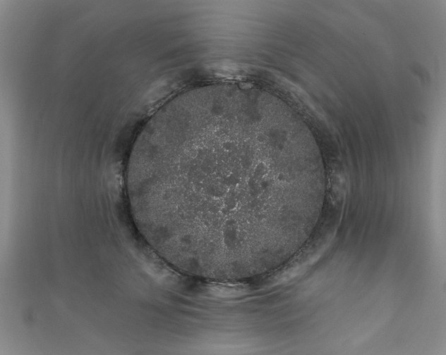 X0000110940707200906261300