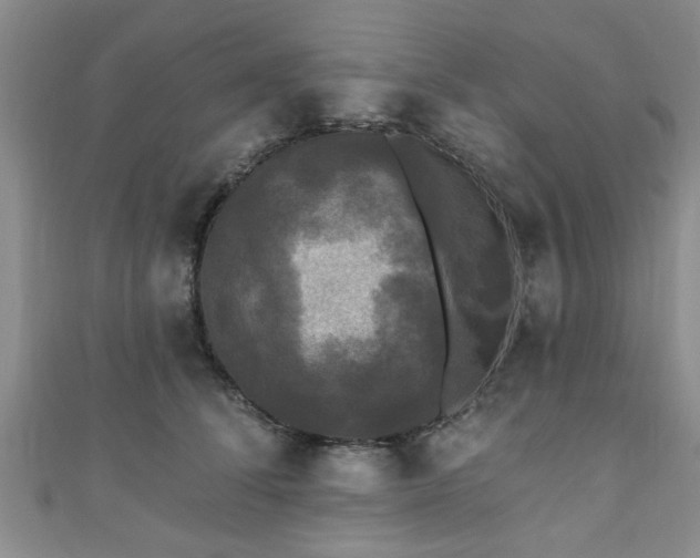 X0000110940708200906261300