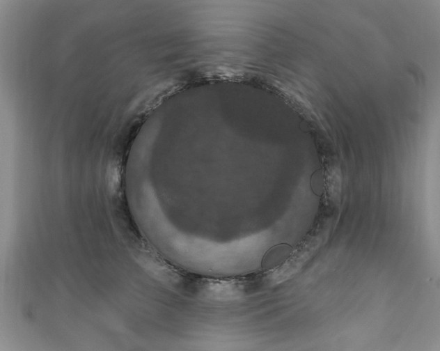 X0000110940709200906261300